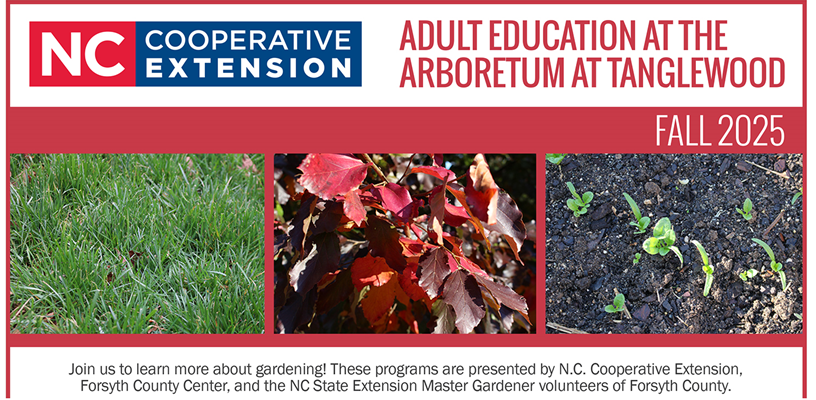  Learn With Us at Fall 2025 Arboretum Adult Education Classes!